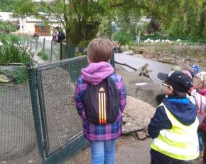 Návštěva ZOO