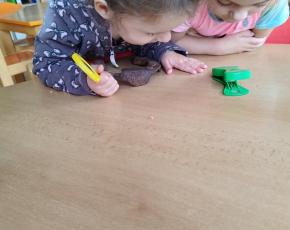 img-20221109-083054.jpg