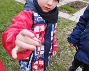 img-20230413-105444.jpg