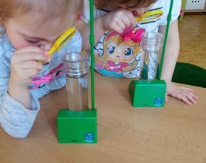 img-20220310-100551.jpg